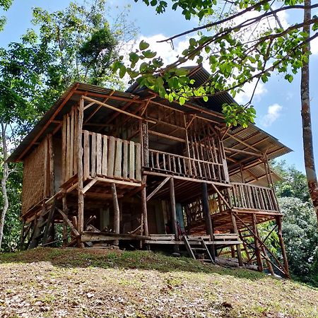Orangutantreksumatra & Lovely Jungle Lodge Only Book If You Are Treking With Us بوكيت لاوانج المظهر الخارجي الصورة