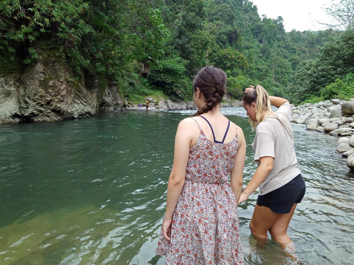 Orangutantreksumatra & Lovely Jungle Lodge Only Book If You Are Treking With Us بوكيت لاوانج المظهر الخارجي الصورة