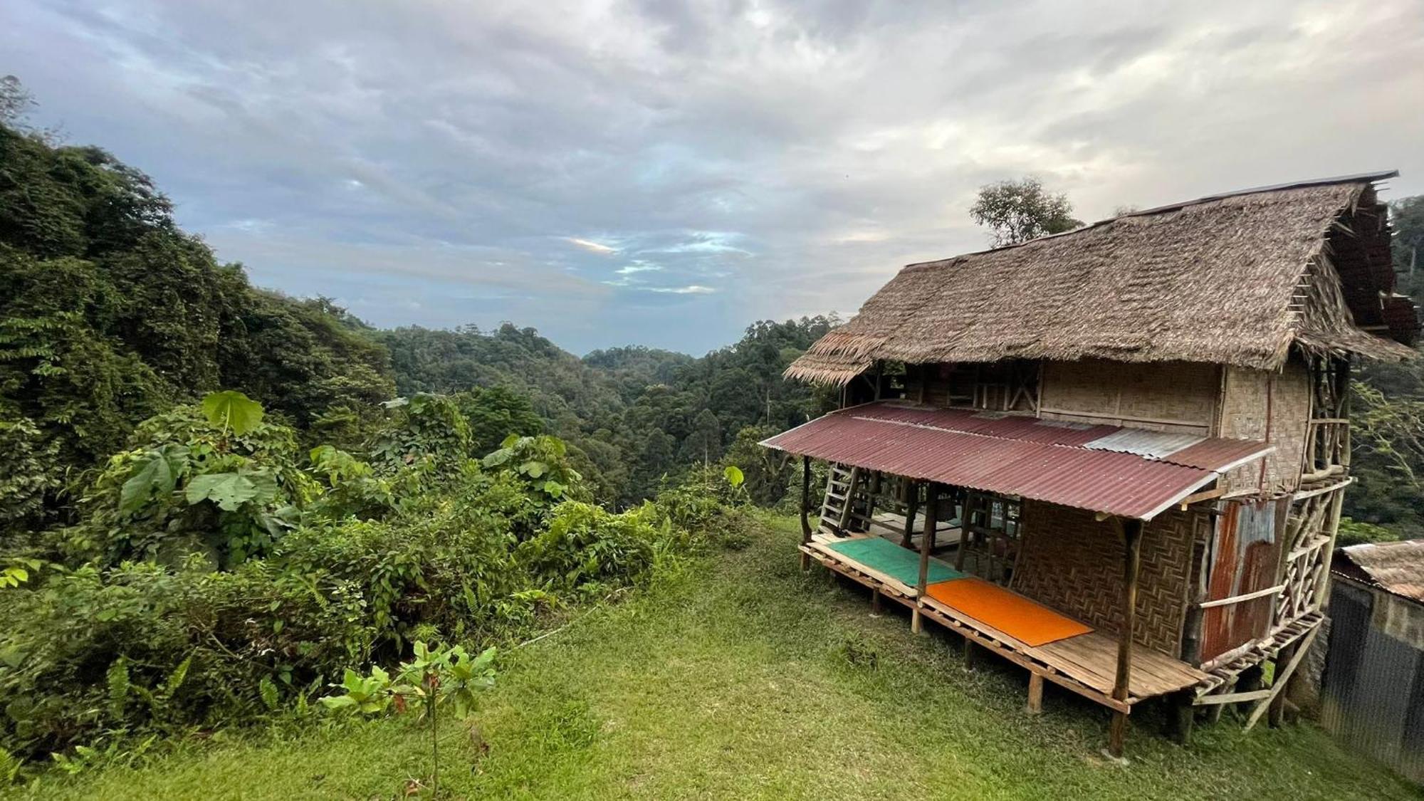 Orangutantreksumatra & Lovely Jungle Lodge Only Book If You Are Treking With Us بوكيت لاوانج الغرفة الصورة