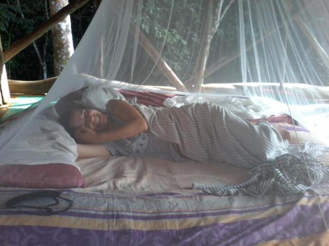 Orangutantreksumatra & Lovely Jungle Lodge Only Book If You Are Treking With Us بوكيت لاوانج الغرفة الصورة