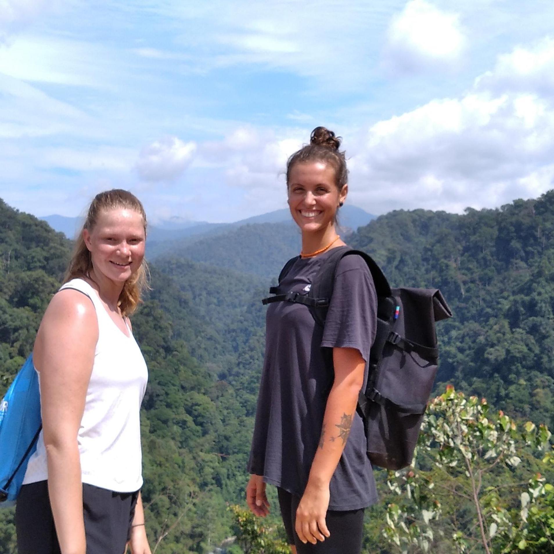 Orangutantreksumatra & Lovely Jungle Lodge Only Book If You Are Treking With Us بوكيت لاوانج الغرفة الصورة