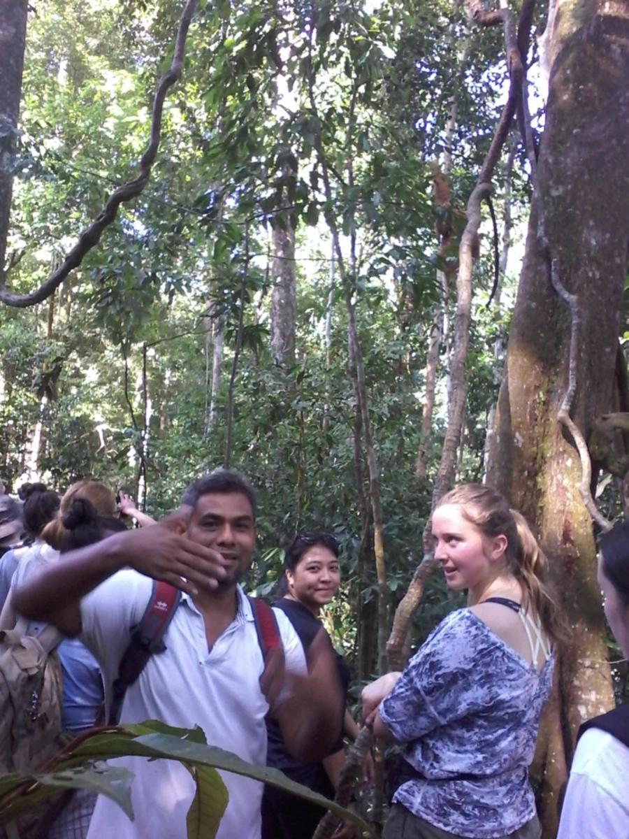 Orangutantreksumatra & Lovely Jungle Lodge Only Book If You Are Treking With Us بوكيت لاوانج الغرفة الصورة