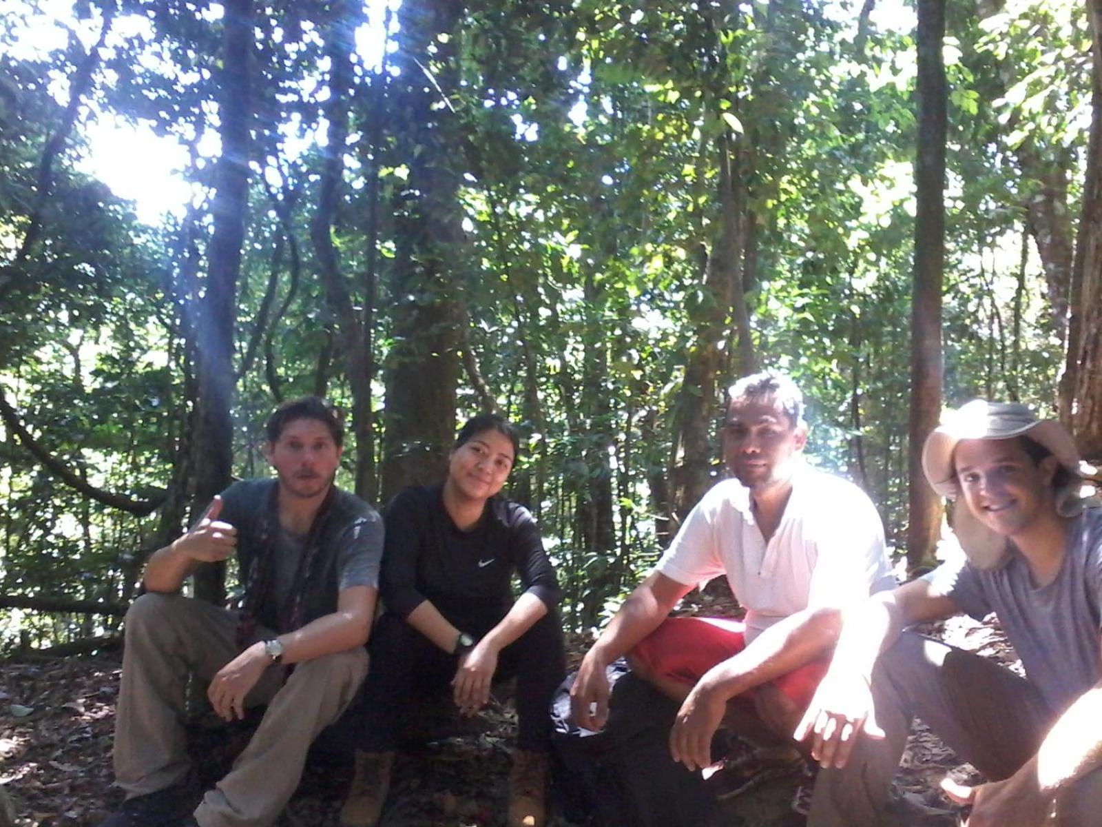 Orangutantreksumatra & Lovely Jungle Lodge Only Book If You Are Treking With Us بوكيت لاوانج الغرفة الصورة