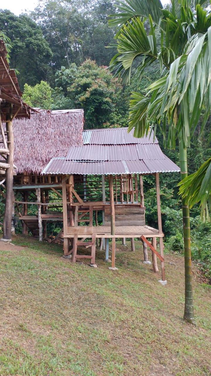 Orangutantreksumatra & Lovely Jungle Lodge Only Book If You Are Treking With Us بوكيت لاوانج المظهر الخارجي الصورة