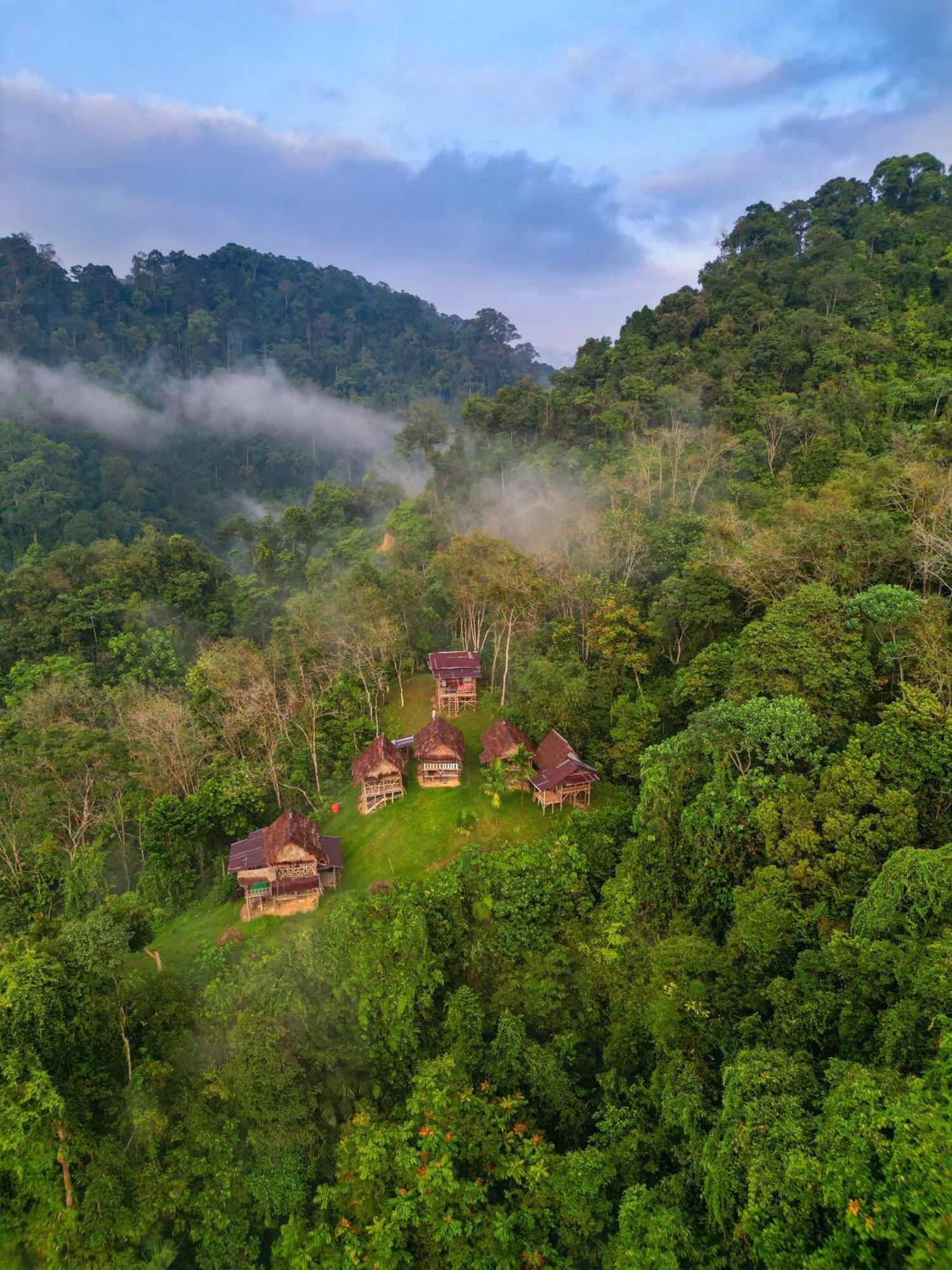 Orangutantreksumatra & Lovely Jungle Lodge Only Book If You Are Treking With Us بوكيت لاوانج المظهر الخارجي الصورة