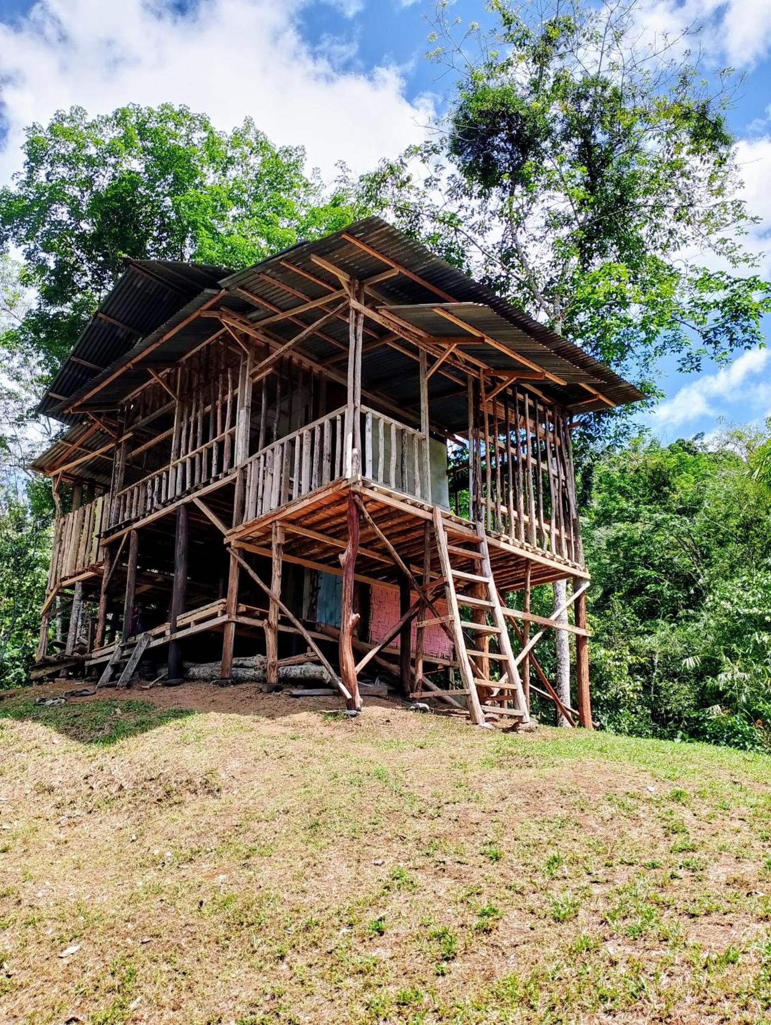 Orangutantreksumatra & Lovely Jungle Lodge Only Book If You Are Treking With Us بوكيت لاوانج المظهر الخارجي الصورة