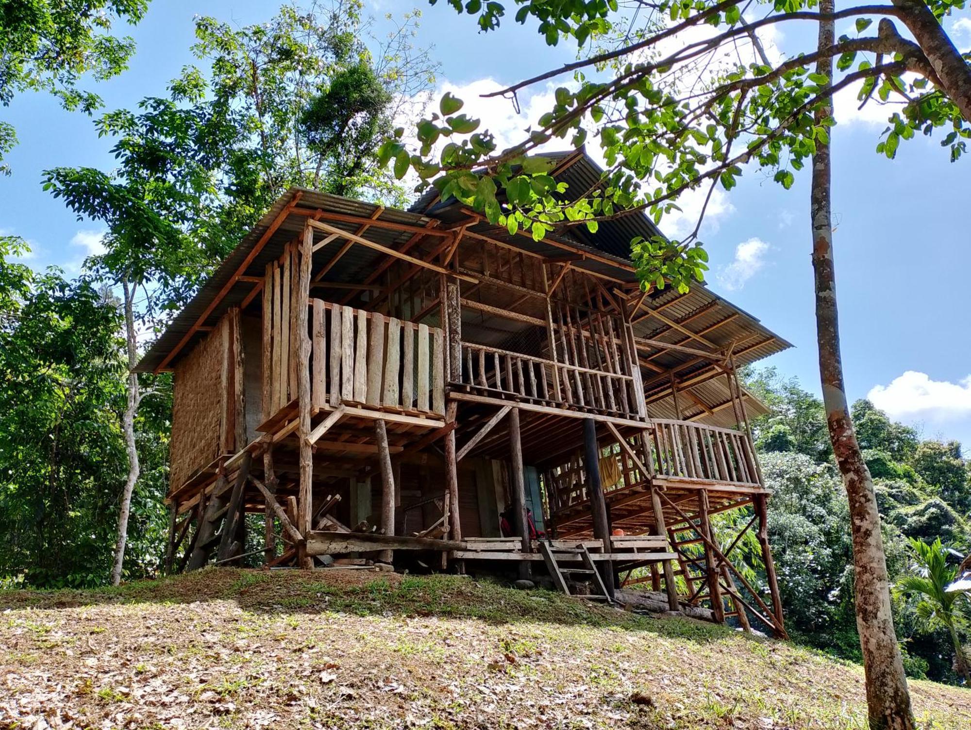 Orangutantreksumatra & Lovely Jungle Lodge Only Book If You Are Treking With Us بوكيت لاوانج المظهر الخارجي الصورة